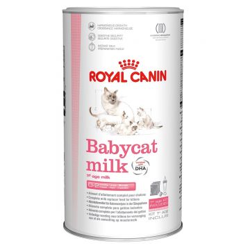 Royal Canin BabyCat Milk inlocuitor lapte matern pisica, 300 g ieftin