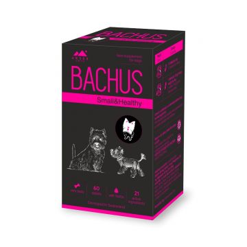 BACHUS Small&Healthy, multivitamine câini și pisici, 60cpr de firma originale