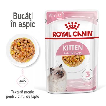 Royal Canin Kitten, hrană umedă pisici, (în aspic) ROYAL CANIN Kitten, plic hrană umedă pisici, (în aspic), 85g