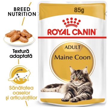 Royal Canin Maine Coon Adult, hrană umedă pisici, (în sos) Royal Canin Maine Coon Adult, plic hrană umedă pisici, (în sos), 85g