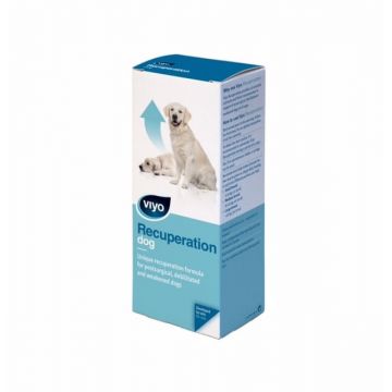 Viyo Recuperation Dog x 1 fl ieftine