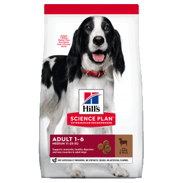 Hill's Science Plan Canine Adult Medium Lamb and Rice, 14 kg