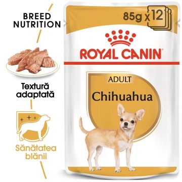Royal Canin Chihuahua Adult, hrană umedă câini (pate) Royal Canin Chihuahua Adult, bax hrană umedă câini (pate), 85g x 12