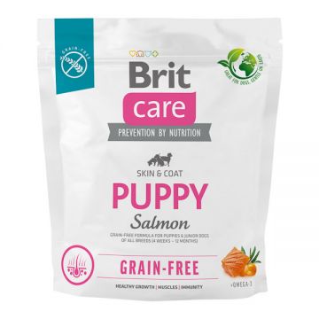 Brit Care Grain-Free Puppy, XS-XL, Somon, hrană uscată fară cereale câini junior, piele & blană, 1kg