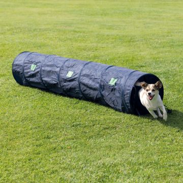 Jucărie Dog Agility, Tunel, 40 cm/2 m, 3210 ieftin