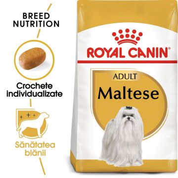 Royal Canin Maltese Adult hrană uscată câine, 500g ieftina