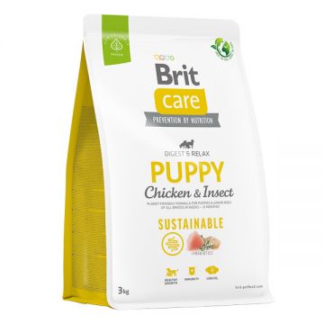Brit Care Sustainable Puppy, XS-XL, Pui și Insecte, hrană uscată câini junior, sistem digestiv, 3kg