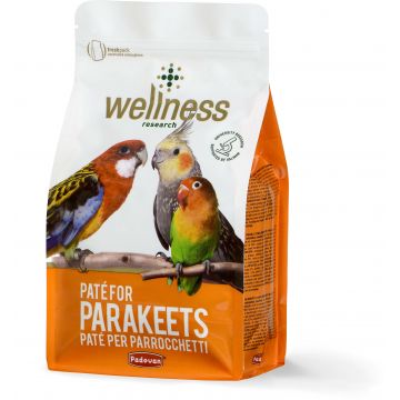 PADOVAN Wellness Pate, Hrană pentru papagali mici 600g