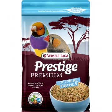 VERSELE-LAGA Prestige Premium Hrană pentru păsari exotice 800g