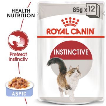 Royal Canin Instinctive Adult hrana umeda pisica (aspic), 12 x 85 g