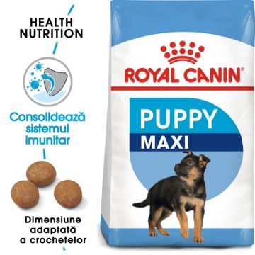 Royal Canin Maxi Puppy hrana uscata caine junior, 4 kg