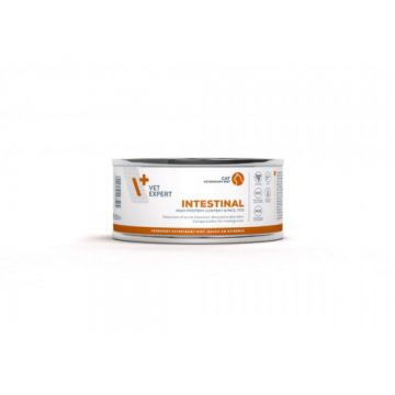 4T Dieta Veterinara Pisici Intestinal Cat, Vetexpert, 100 g de firma originala
