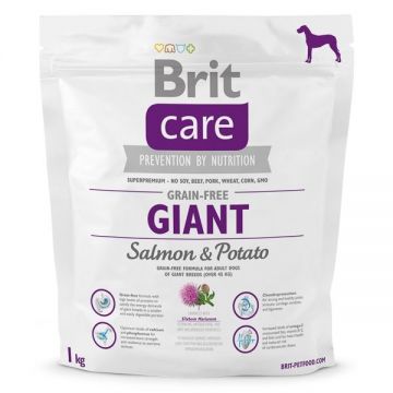Brit Care Grain-free Giant Salmon and Potato, 1 kg ieftina