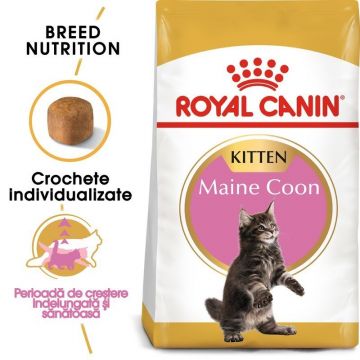 Royal Canin Maine Coon Kitten hrana uscata pisica junior la reducere