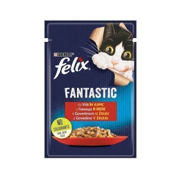 Felix Fantastic, Vita, 85 g