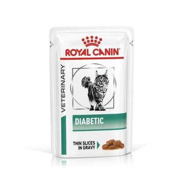 Royal Canin Diabetic Cat, hrana umeda pisica in sos/ gravy, 85 g ieftina