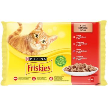 Friskies Adult Cat, Multipack Pui, Vita, Miel, Rata, 4 x 100 g de firma originala