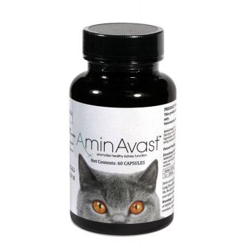 Aminavast Cat, 300 mg/ 60 capsule de firma original