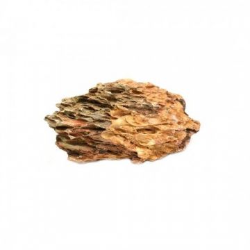 Decor acvariu, roca bamboo, 1-2 kg de firma original