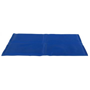 Saltea Racoritoare 65x50 cm Albastru 28684 ieftina