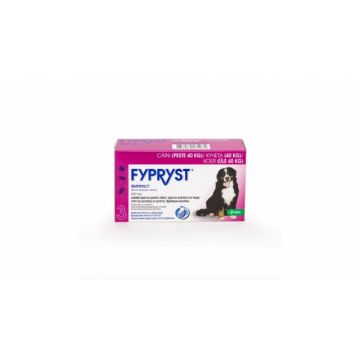 Fypryst Caine XL 402 mg (40 - 60 kg), 3 pipete la reducere