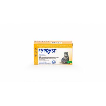 Fypryst Cat Spot On 50 mg, 3 pipete la reducere