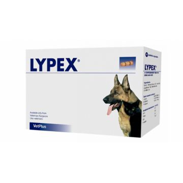 Lypex 60 capsule