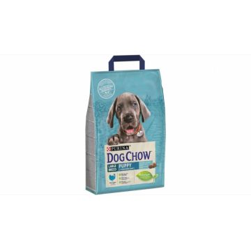 Dog Chow Puppy Large Breed cu Curcan 2.5 kg