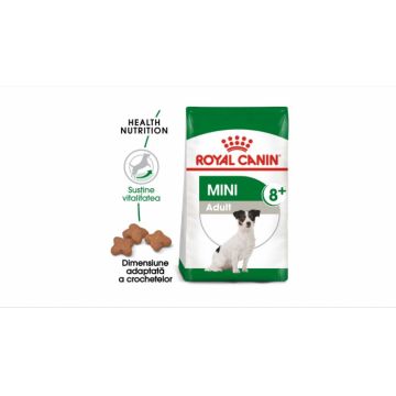 Royal Canin Mini Adult (+8), hrana uscata caini - 2 Kg