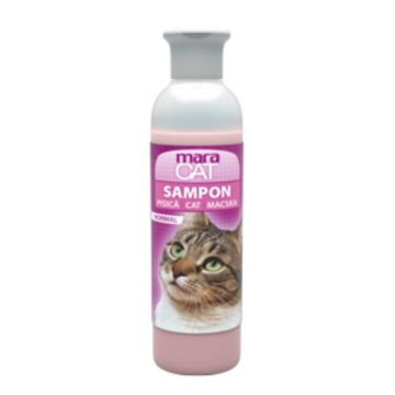 Sampon pisici, Maracat Normal - 250 ml ieftin