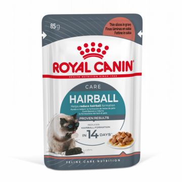 Royal Canin Hairball Care Gravy, 12 plicuri x 85 g la reducere