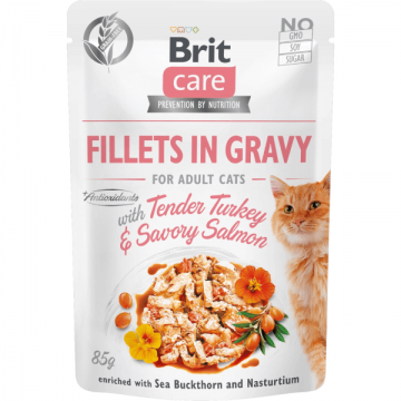 Hrana umeda pentru pisici Brit Care Fileuri de curcan si somon in sos 85g