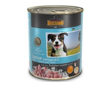 Belcando Dog Junior, Pasare & Oua, 800 g