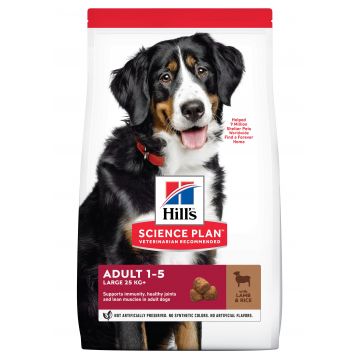 Hill's Science Plan Canine Adult Large Breed Lamb and Rice, 14 kg ieftina