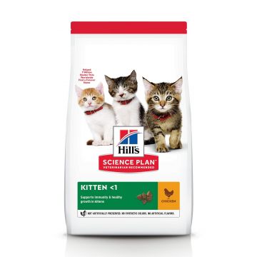 Hill's Science Plan Feline Kitten Chicken, 1.5 kg