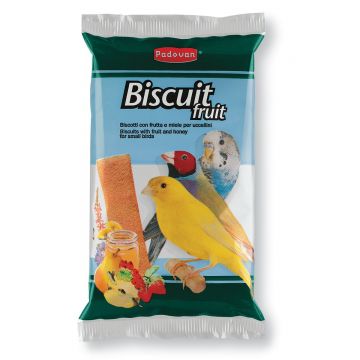 Padovan Biscuiti Fruit 30 g de firma original