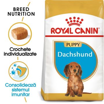 Royal Canin Dachshund Puppy hrana uscata caine junior Teckel, 1.5 kg la reducere