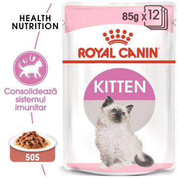 Royal Canin Kitten hrana umeda pisica (in sos), 12x85 g ieftina
