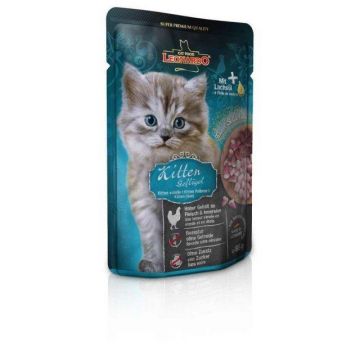 Hrana umeda pisoi, Leonardo Kitten, 85 g