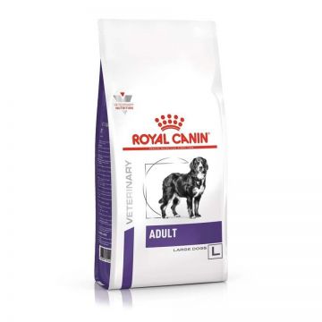 Royal Canin Adult Large Dog la reducere