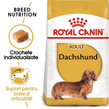 Royal Canin Dachshund Adult hrana uscata caine Teckel la reducere