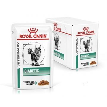 Royal Canin Diabetic Cat, hrana umeda pisica in sos/ gravy, 12x85 g la reducere