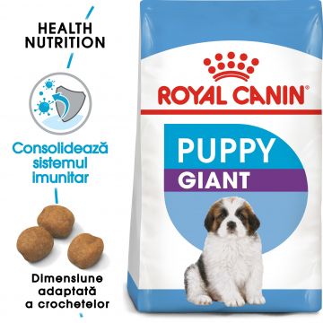 Royal Canin Giant Puppy hrana uscata caine junior etapa 1 de crestere ieftina
