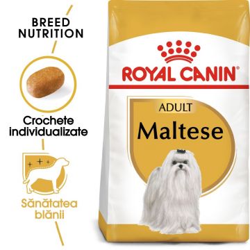 Royal Canin Maltese Adult hrana uscata caine de firma originala
