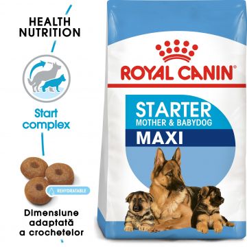 Royal Canin Maxi Starter Mother & Babydog, mama si puiul, hrana uscata caine la reducere