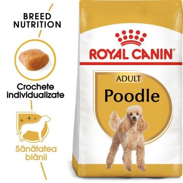 Royal Canin Poodle Adult hrana uscata caine