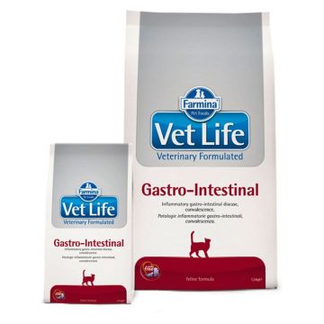 Vet Life Cat Gastro Intestinal 10 kg