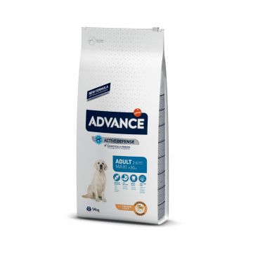 ADVANCE Adult Maxi, L-XL, Pui, hrană uscată câini, 14kg