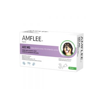 AMFLEE Dog, spot-on, soluție antiparazitară, câini, 3 pipete AMFLEE Dog, spot-on, soluție antiparazitară, câini 40-60 kg, 3 pipete