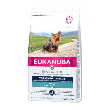 EUKANUBA Breed Specific Adult Yorkshire Terrier, Pui, hrană uscată câini, 2kg